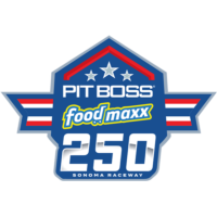 Pit Boss/FoodMaxx 250